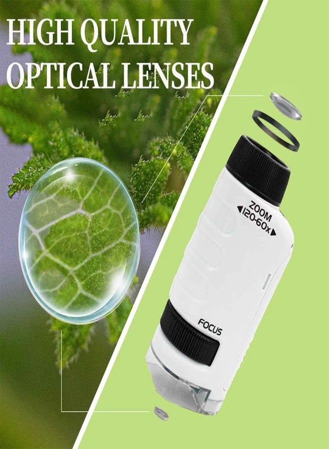 ETZIN مجهر إيتزين مينيسكوب الجيب للأطفال بتكبير من 60x إلى 120x، مجهر ميني لابسترز المحمول للأطفال، مجهر يدوي للتجارب العلمية للأطفال من 6 إلى 12 سنة (أبيض) - Image 2